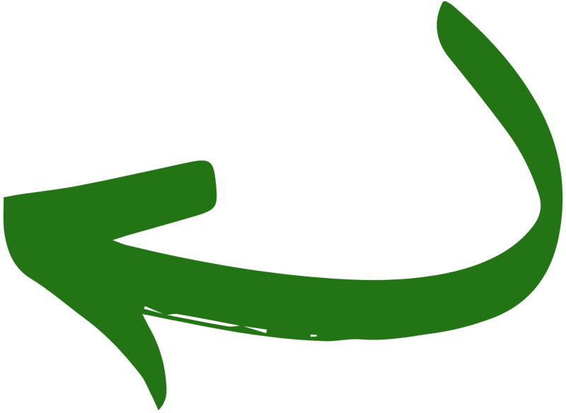 BNL ARROW